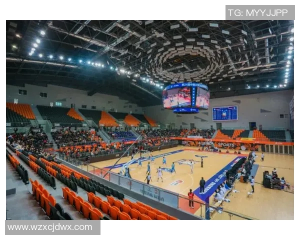 成都篮球队运营模式分析与发展前景探讨