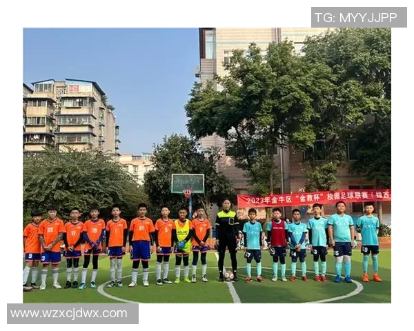 成都足球队的耐力之路：拼搏精神与团队协作的完美结合