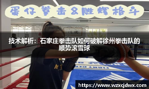 乐发v