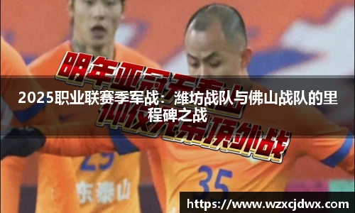 2025职业联赛季军战：潍坊战队与佛山战队的里程碑之战