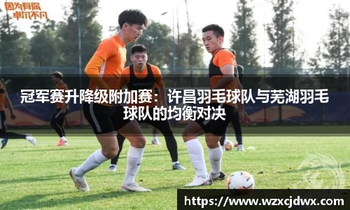 冠军赛升降级附加赛：许昌羽毛球队与芜湖羽毛球队的均衡对决