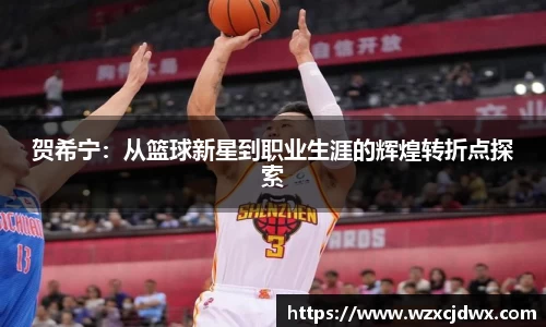 贺希宁：从篮球新星到职业生涯的辉煌转折点探索